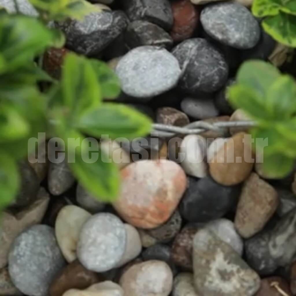 Uygulamalar görsel 4