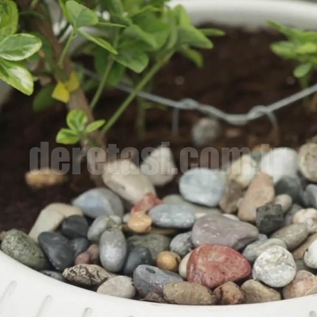 Uygulamalar görsel 5