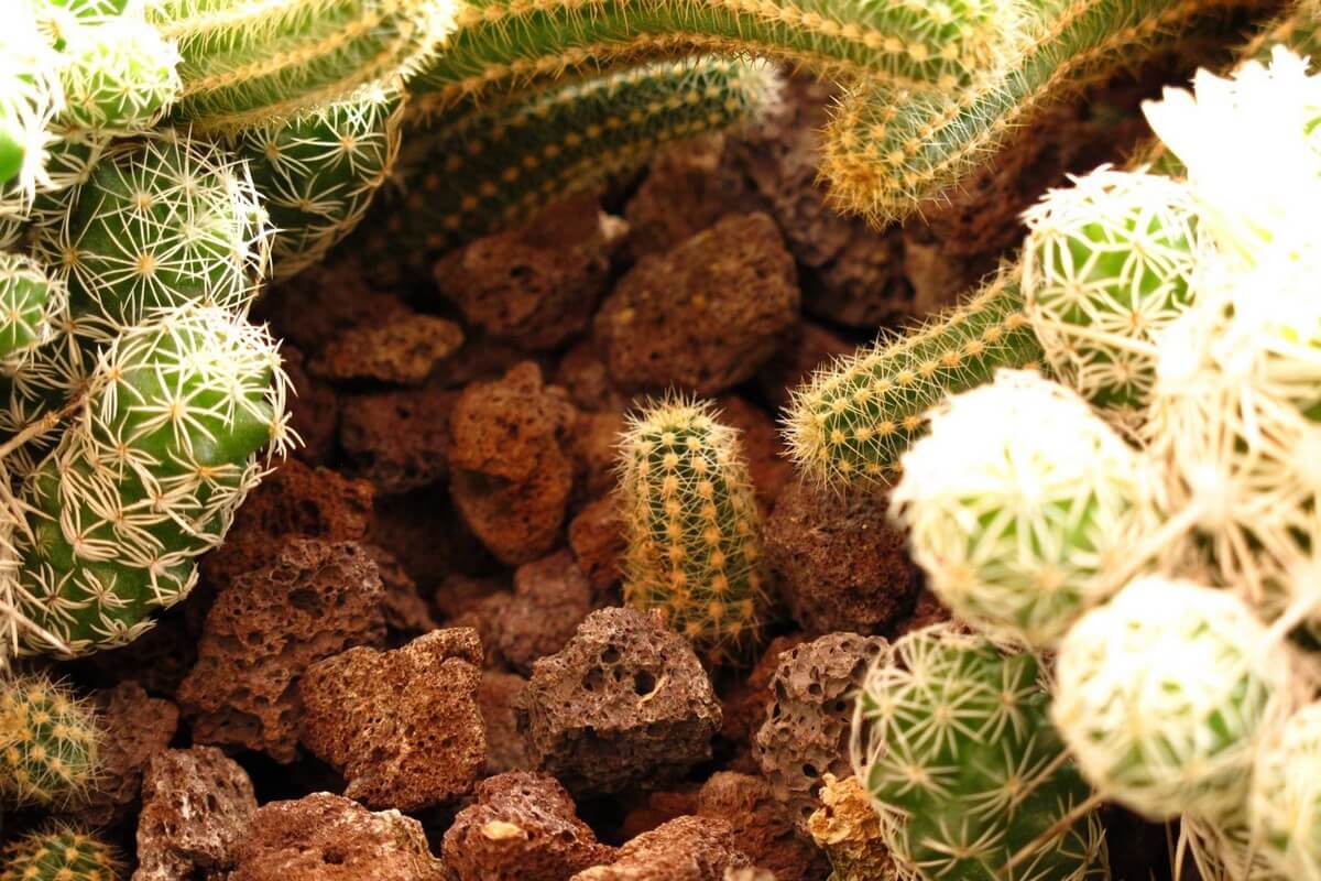 Pomza Cüruf Nerede Kullanılır?